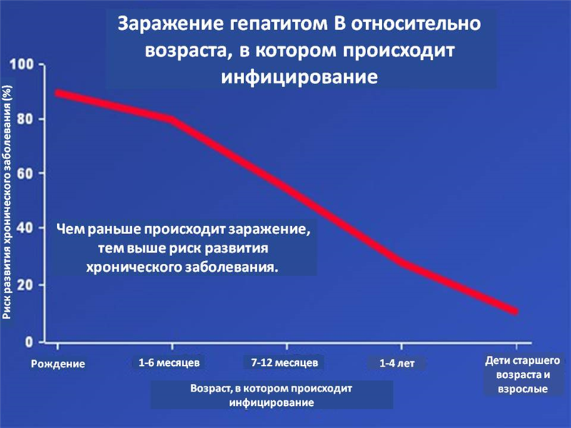 גרף הידבקות הפטיטיס B - רוסית